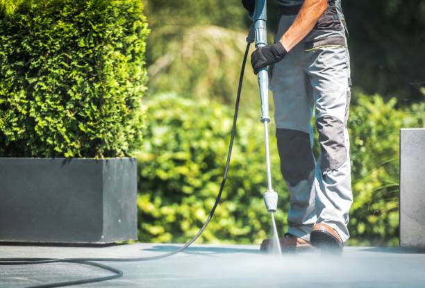 Best Solar Panel Cleaning  in New Hope, MN